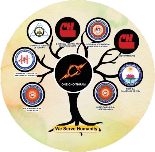Curriculum